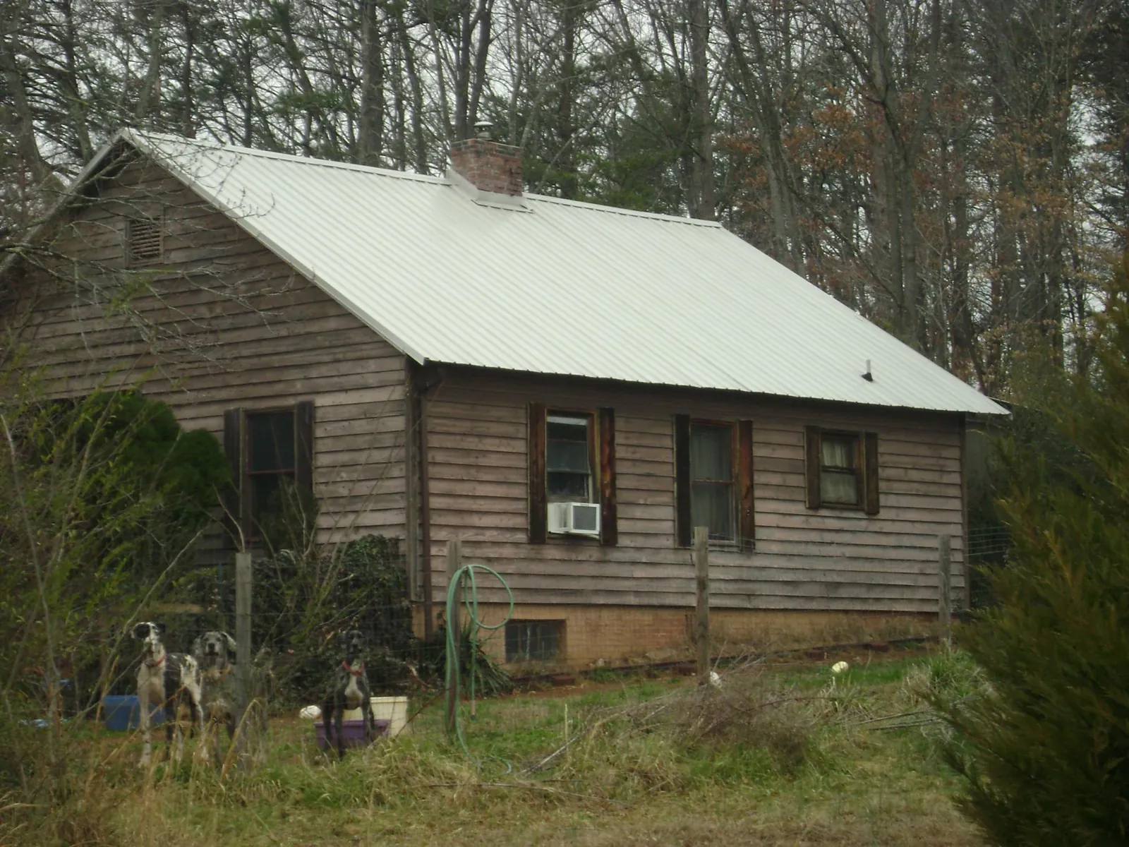 White metal roof on an old wood sided farmhouse, from a Asphalt Shingle Roof Repair job in Sigourney